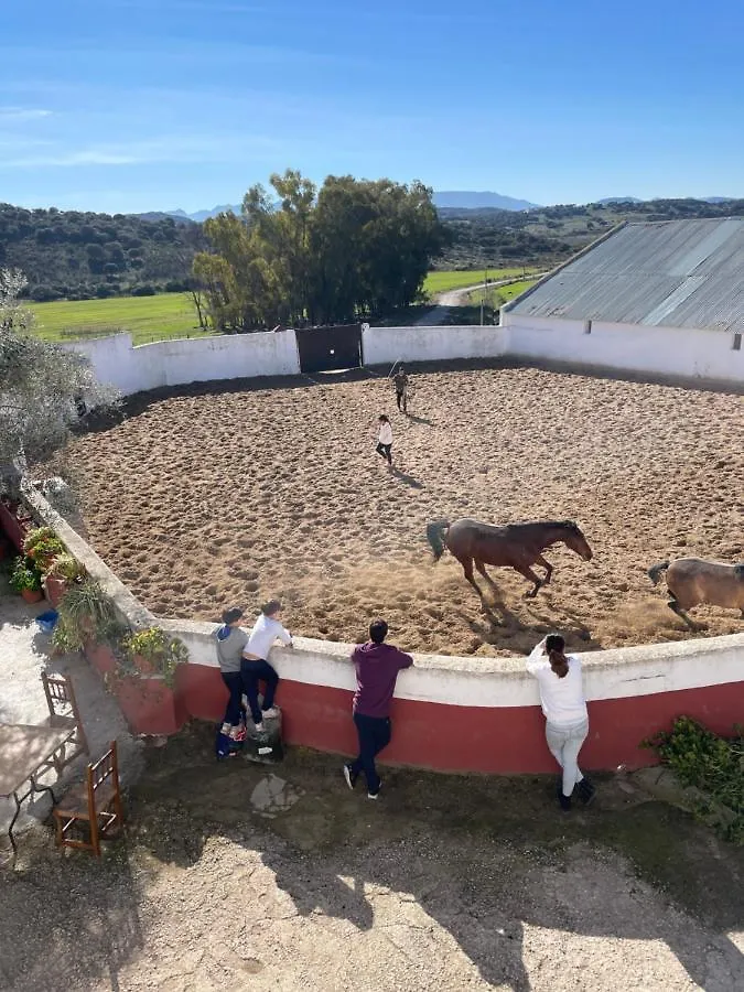 Casa Rural Finca De Las Encarnaciones Bajas Villanueva de San Juan